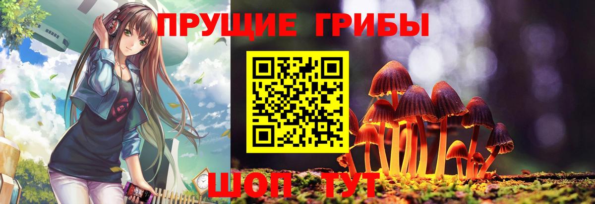 Галлюциногенные грибы MAGIC MUSHROOMS Трёхгорный