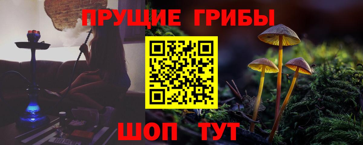 Псилоцибиновые грибы Psilocybine cubensis  Псилоцибиновые грибы MAGIC MUSHROOMS  Трёхгорный  Вход с VPN 