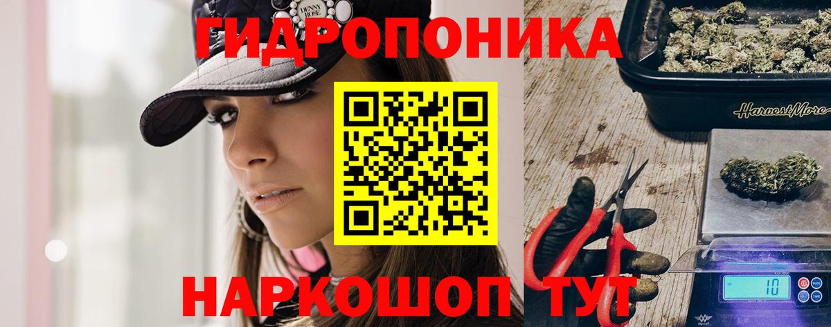 Бошки Шишки индика Трёхгорный